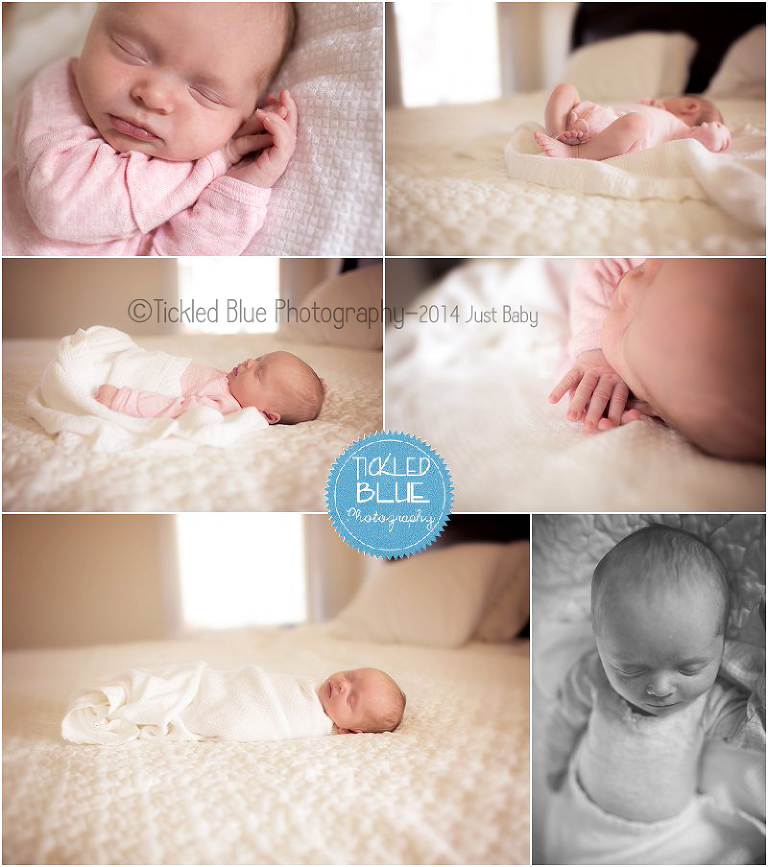Tickled Blue_Charleston_sc_family_newborn_childrens_photographer_0521