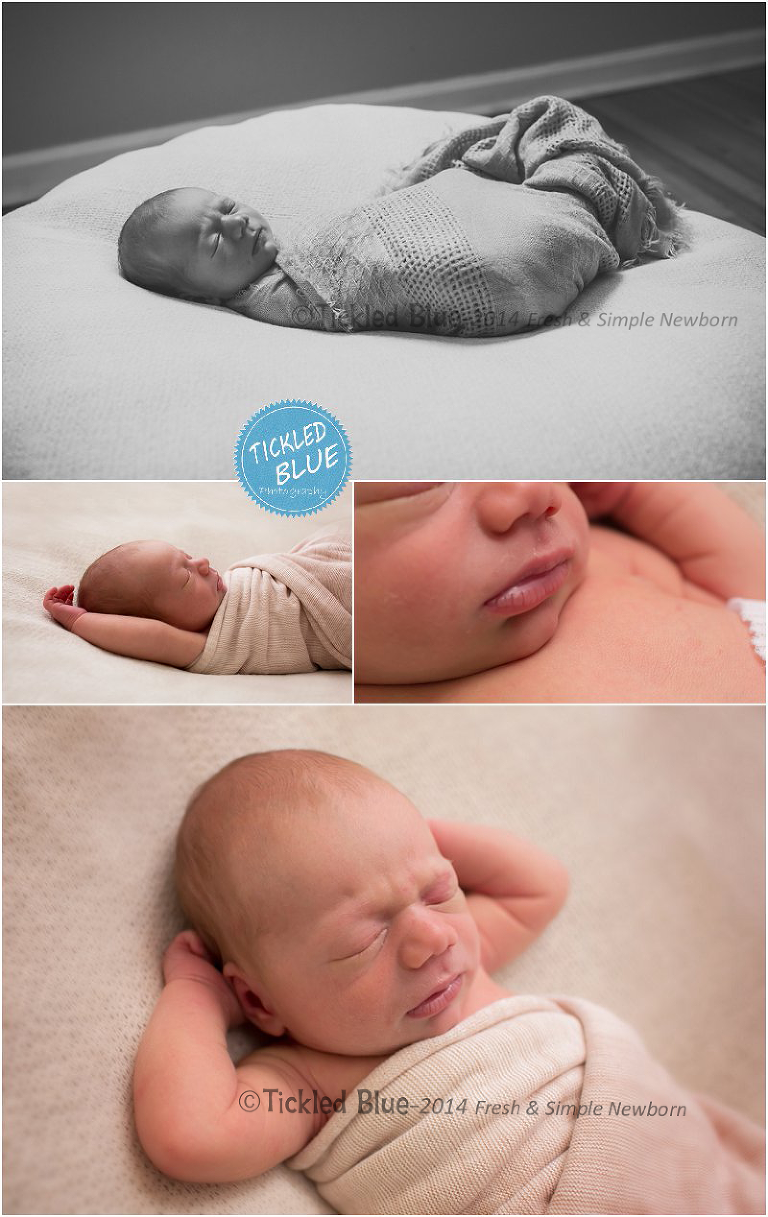 Tickled Blue_Charleston_sc_family_newborn_childrens_photographer_0675